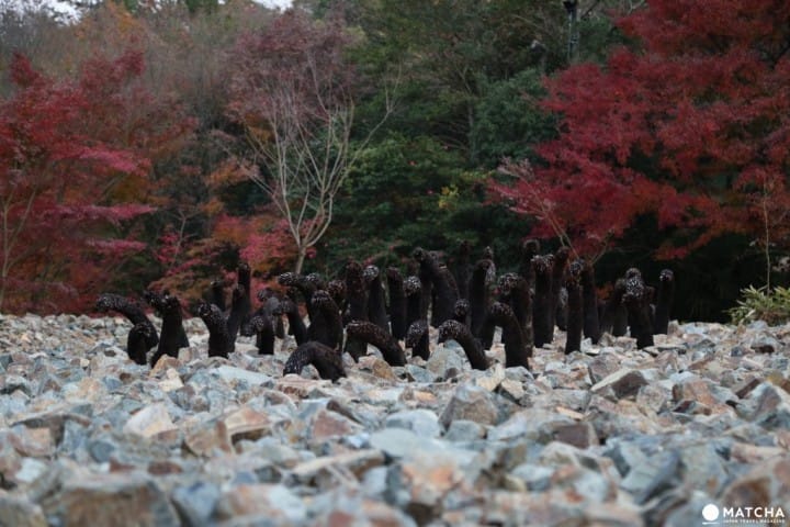 獨一無二的新世代跨界藝術,禪與庭的美術館:神勝寺
