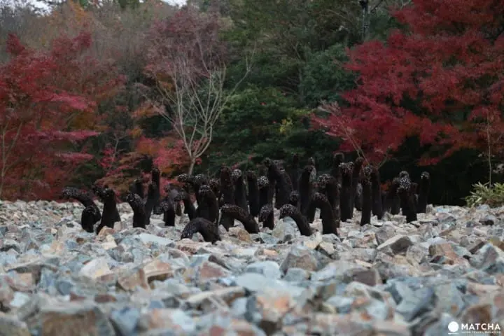 獨一無二的新世代跨界藝術，禪與庭的美術館：神勝寺