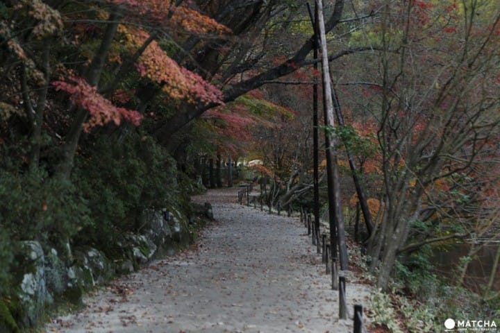 獨一無二的新世代跨界藝術,禪與庭的美術館:神勝寺