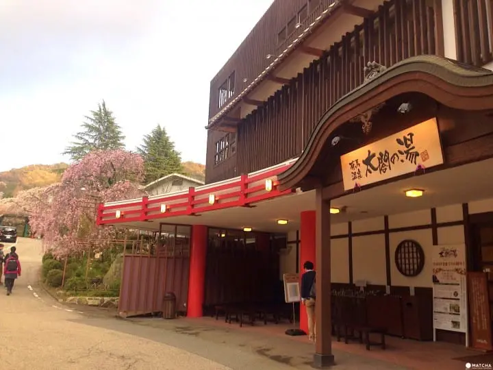 【神戶有馬】賞櫻泡湯一次滿足的療癒之旅