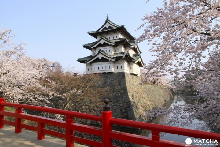 ปราสาทฮิโรซากิ อาโอโมริ พรมดอกซากุระและปราสาทแสนสวย (Hirosaki Castle, Aomori)