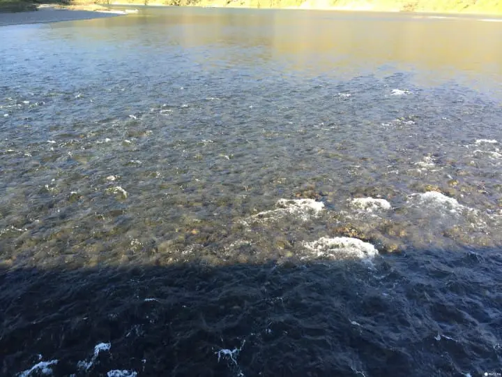 日本最后清流 『四国高知』四万十川自行车散策