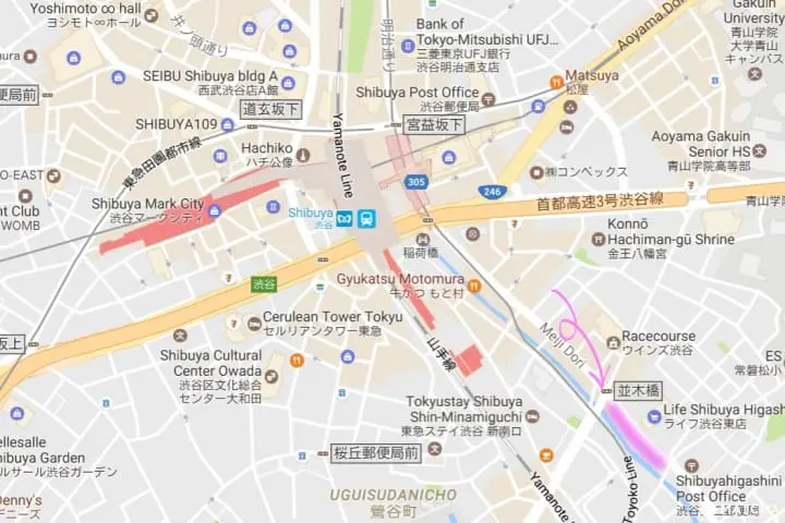 Shibuya Cherry Blossoms