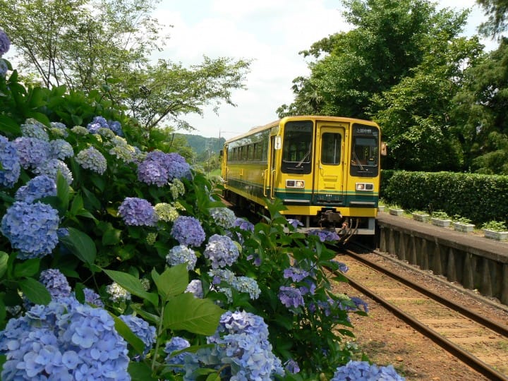 『東京近郊』跳上復古列車巡遊千葉吧!小湊,夷隅,銚子鐵道行程