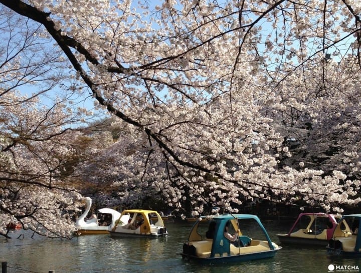 Inokashira Park