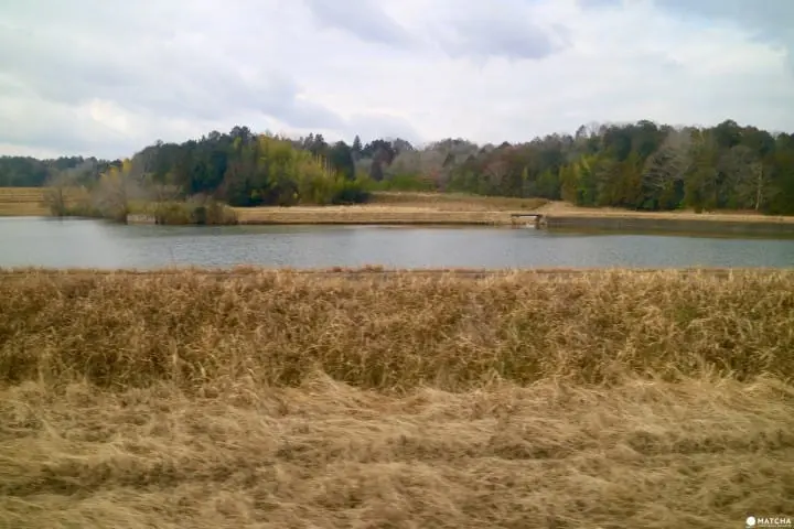忍者列車で行こう!三重県伊賀鉄道のユニークなラッピング電車の旅