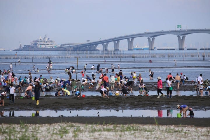 『東京近郊』深藏不露的千葉美食,內行人的口袋名單大揭密!