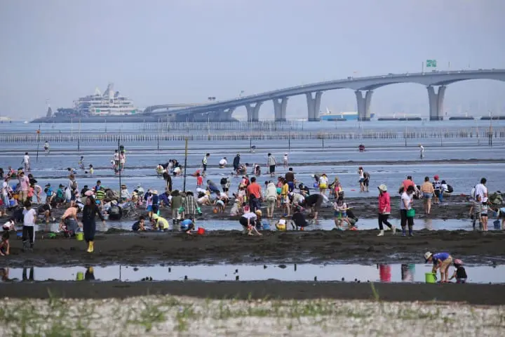 『东京近郊』深藏不露的千叶美食，内行人的口袋名单大揭密！