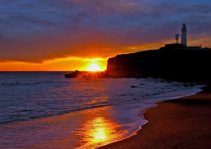 『东京近郊』深藏不露的千叶美食，内行人的口袋名单大揭密！