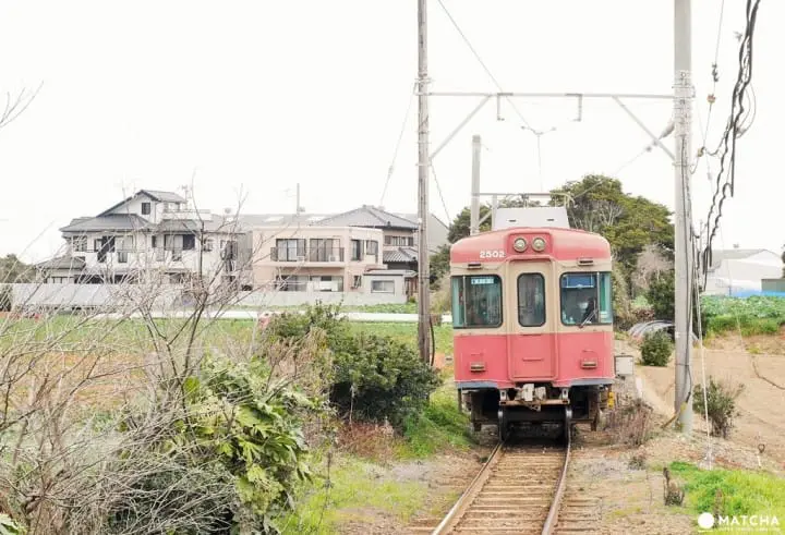 『东京近郊』深藏不露的千叶美食，内行人的口袋名单大揭密！