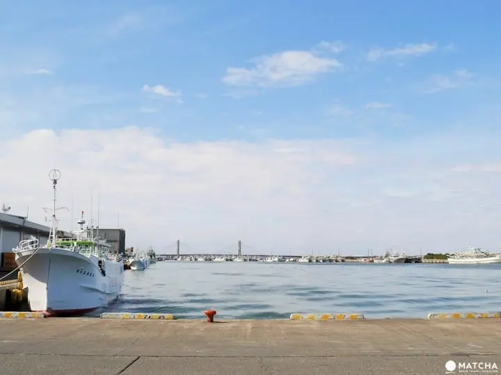 『东京近郊』深藏不露的千叶美食，内行人的口袋名单大揭密！