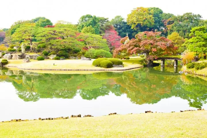 六義園─氣勢磅薄的枝垂櫻
