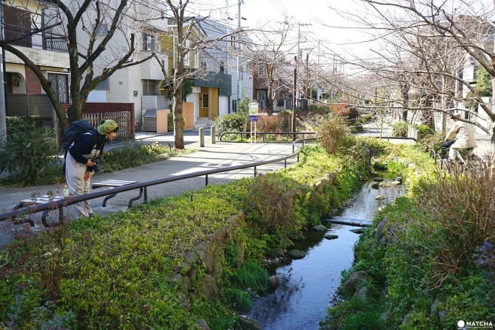 Shimokitazawa - What's It All About? Getting To Know The Favorite Town Of Japanese Youth