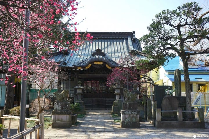 Shimokitazawa - What's It All About? Getting To Know The Favorite Town Of Japanese Youth