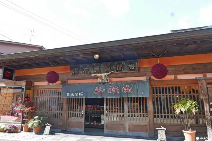 『岐阜 郡上』城下町散策！感受小京都的悠闲时光