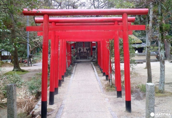 三重県伊賀市にある「伊賀流忍者博物館」の楽しみ方