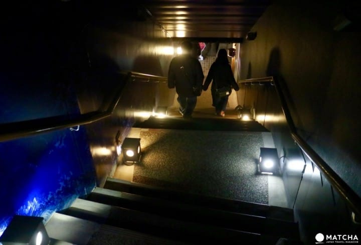 三重県伊賀市にある「伊賀流忍者博物館」の楽しみ方