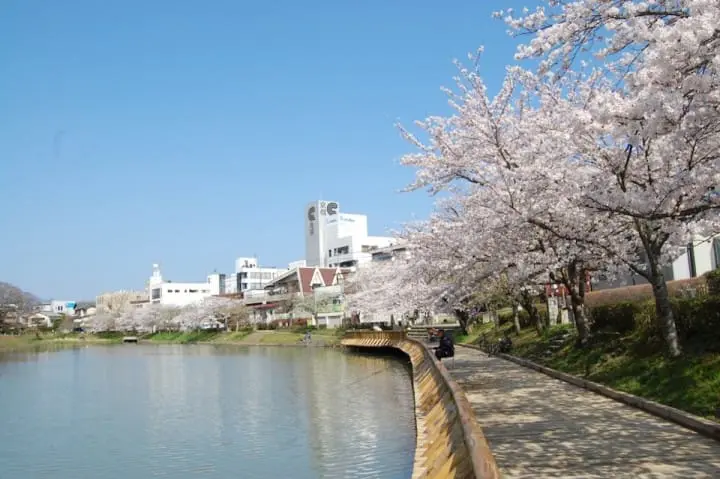 京都でゆっくりお花見を楽しみたい方必見！京都・亀岡のお花見スポット5選