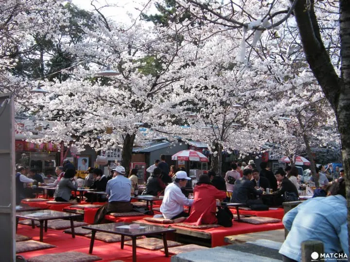 Planning for a Hanami Party! A Recommended Menu to make it a Hit