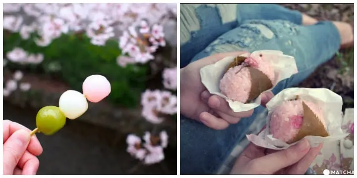 Planning for a Hanami Party! A Recommended Menu to make it a Hit