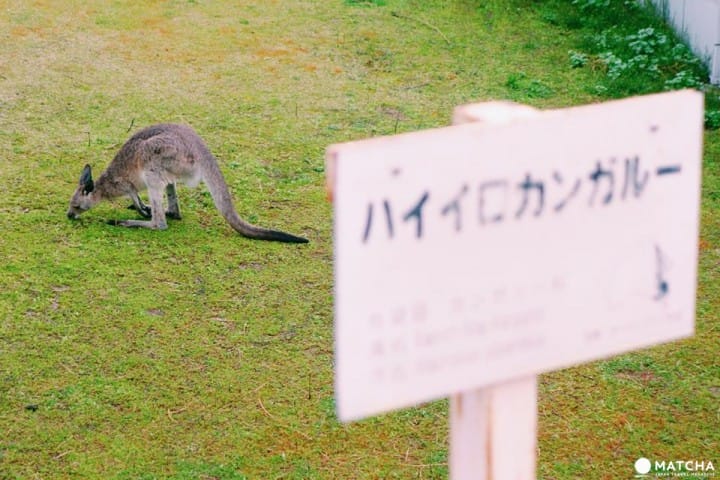 天王寺動物園