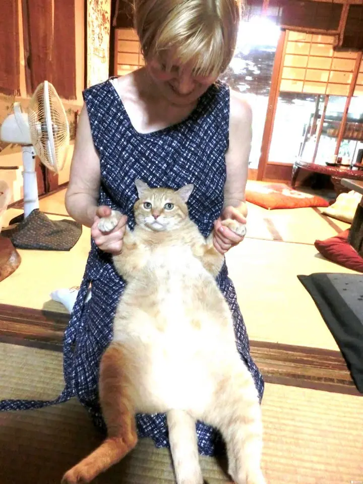 【京都】东、西方文化交织的“Kyoto 生chocolate organic tea house”