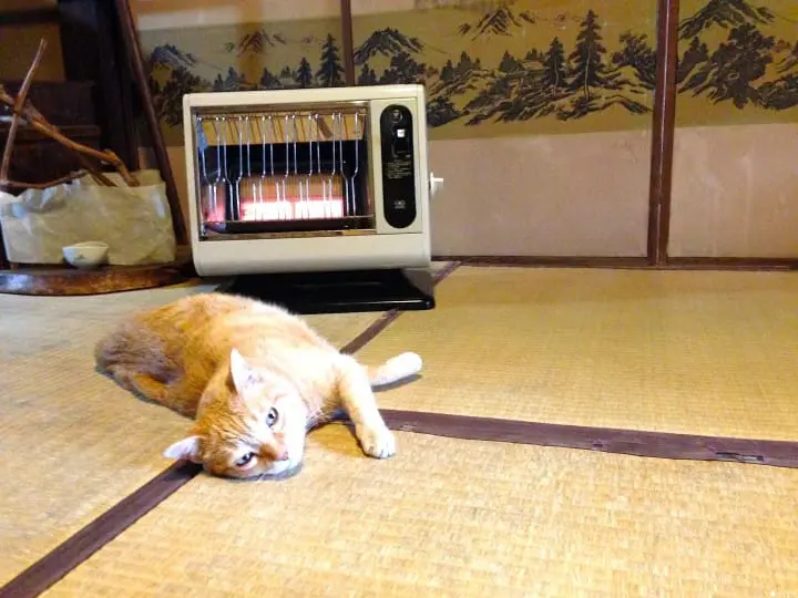 【京都】东、西方文化交织的“Kyoto 生chocolate organic tea house”