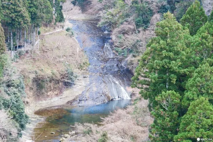 草稿【東京近郊】千葉縣・養老溪谷感受溪邊景色四季變化之美最令人滿足