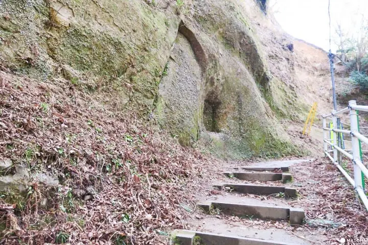 草稿【東京近郊】千葉縣・養老溪谷感受溪邊景色四季變化之美最令人滿足