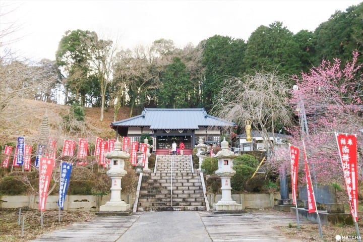 下書き【東京近郊】千葉県・養老渓谷で四季折々の美しい川辺の景色を堪能