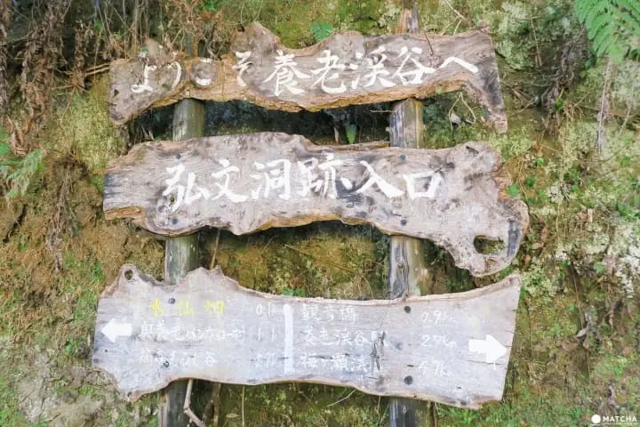 草稿【東京近郊】千葉縣・養老溪谷感受溪邊景色四季變化之美最令人滿足