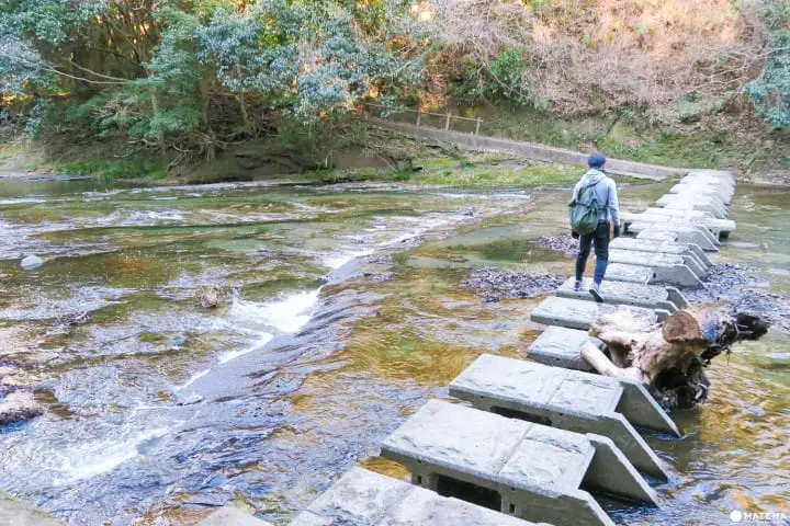 草案【東京近郊】千葉縣・養老溪谷溪邊感受景色四季變化之美最令人滿足