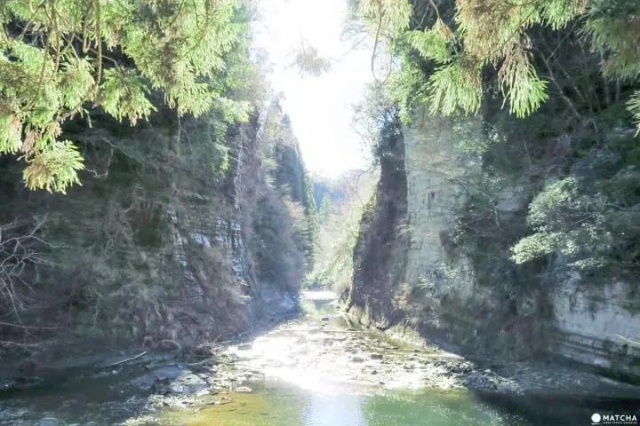 草稿【東京近郊】千葉縣・養老溪谷感受溪邊景色四季變化之美最令人滿足