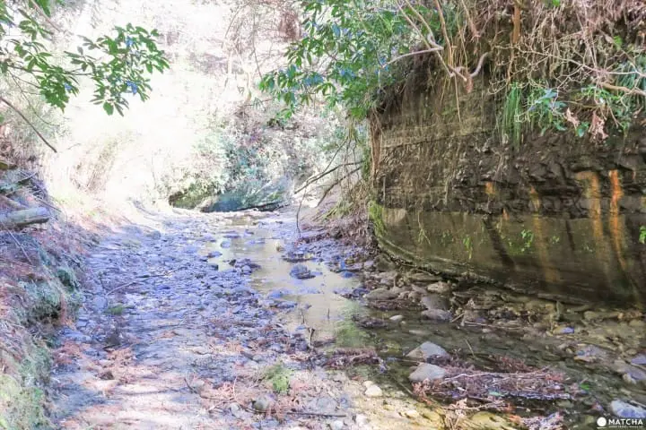 草稿【東京近郊】千葉縣・養老溪谷感受溪邊景色四季變化之美最令人滿足