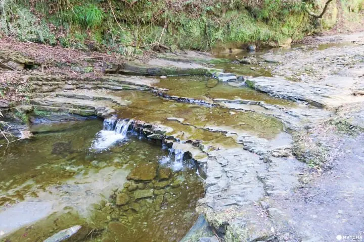 草稿【東京近郊】千葉縣・養老溪谷溪邊感受景色四季變化之美最令人滿足