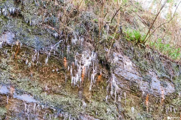 草稿【東京近郊】千葉縣・養老溪谷感受溪邊景色四季變化之美最令人滿足