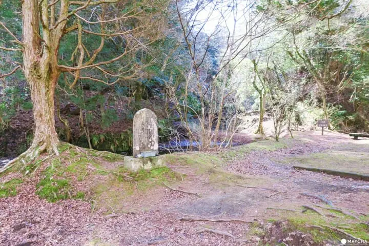 草稿【東京近郊】千葉縣・養老溪谷感受溪邊景色四季變化之美最令人滿足