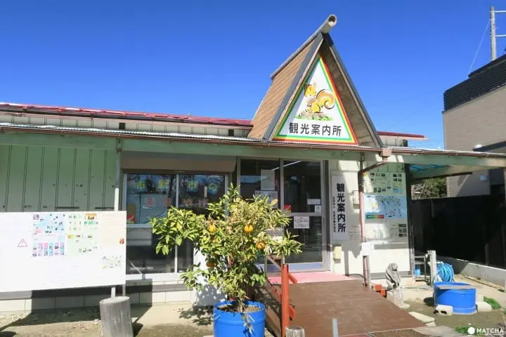 【東京近郊】千葉縣・養老渓谷四季分明的美麗川邊景色
