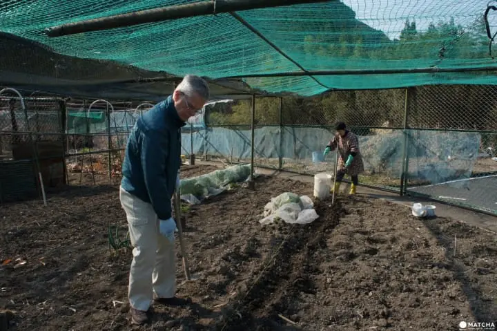 Ride a steam locomotive along the beautiful Oigawa Valley in Shizuoka and stay at Japanese farmhouses surrounded by tea fields and the foothills of Fujisan.