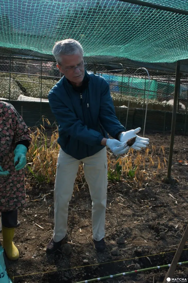 Ride a steam locomotive along the beautiful Oigawa Valley in Shizuoka and stay at Japanese farmhouses surrounded by tea fields and the foothills of Fujisan.