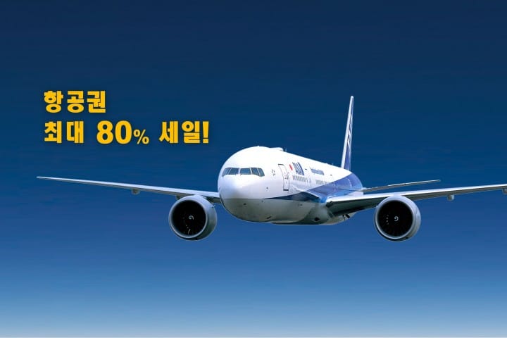 항공권 최대 80% 할인! 일본에서 국내선을 탄다면 ANA의 가쿠야스(格安)티켓이 이득이다!