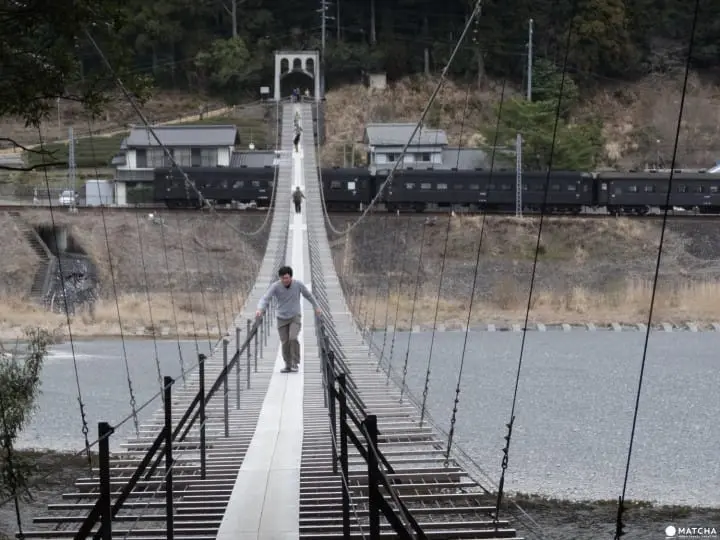 Ride a steam locomotive along the beautiful Oigawa Valley in Shizuoka and stay at Japanese farmhouses surrounded by tea fields and the foothills of Fujisan.