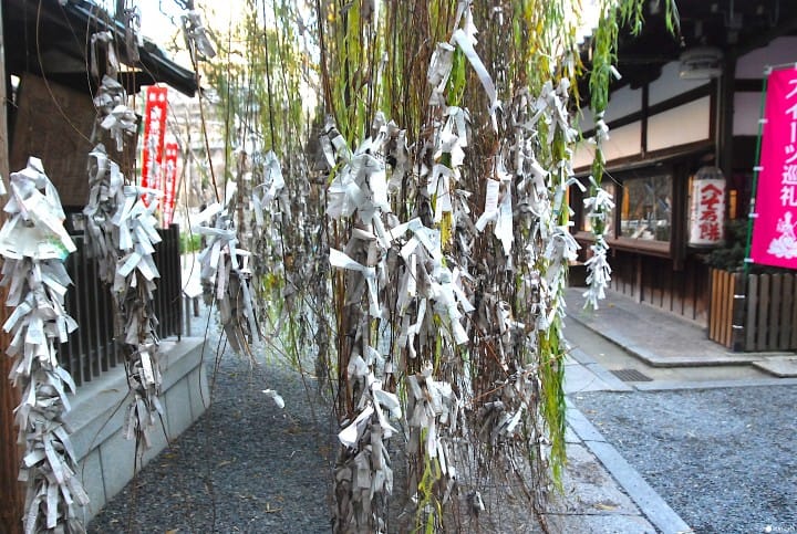 【京都】城市的中心點 華道發源之地 六角堂