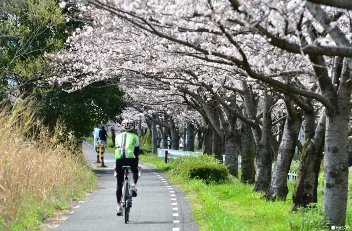 在日本騎腳踏車前一定要知道的七件事