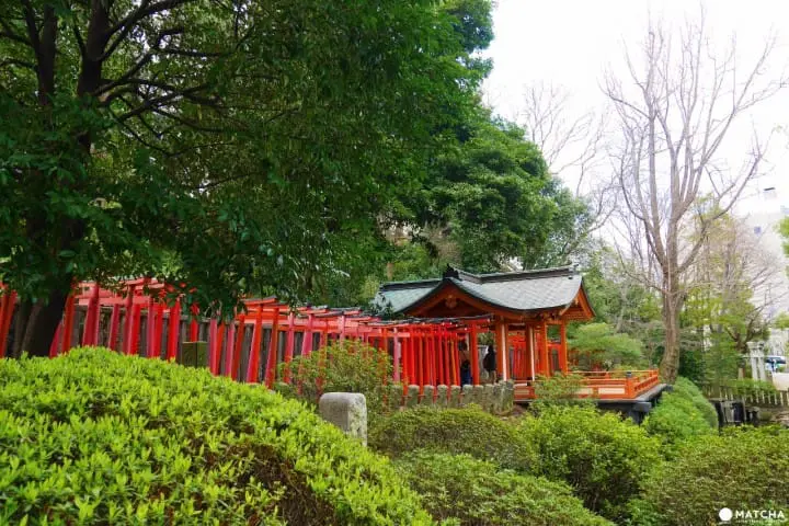 根津神社鳥居