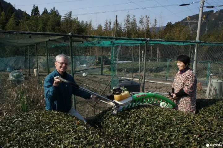 Ride a steam locomotive up Shizuoka's scenic Oigawa River valley and stay at a Noka Minshuku, a B&B run by a farming family offering genuine hospitality and memories you'll treasure.