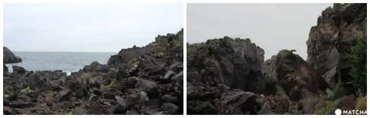 Visit Jogasaki Coast for its Amazing Views and an Unforgettable Experience