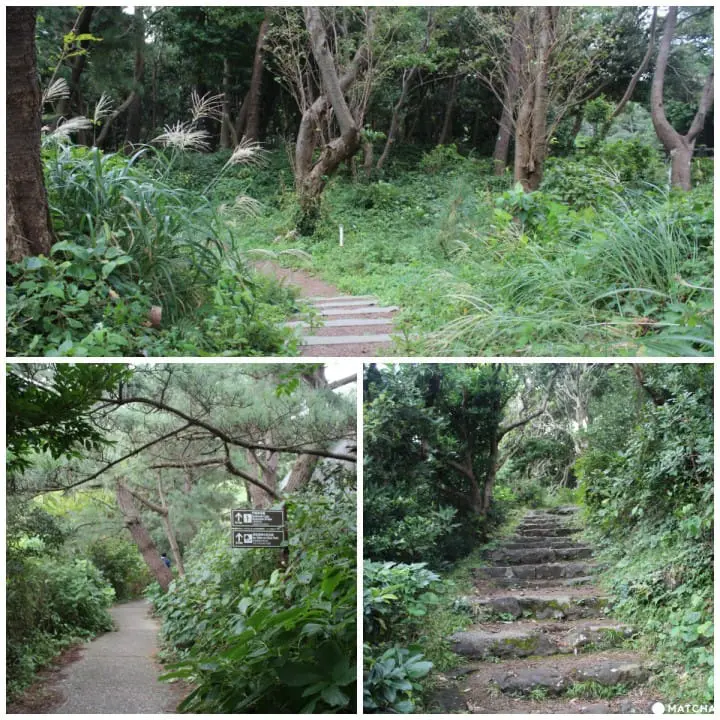 Visit Jogasaki Coast for its Amazing Views and an Unforgettable Experience