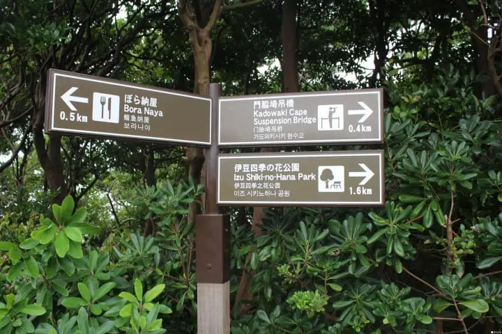 Visit Jogasaki Coast for its Amazing Views and an Unforgettable Experience