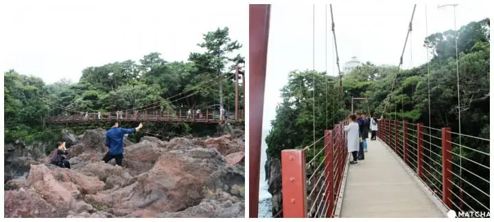 Visit Jogasaki Coast for its Amazing Views and an Unforgettable Experience